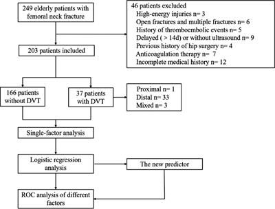 Risk factors and new diagnostic index for deep venous thrombosis of lower extremities in elderly patients with traumatic femoral neck fracture